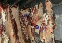 Operativos de control de ley federal de carnes en Termas de Rio Hondo